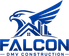 Falcon DMV Construction logo